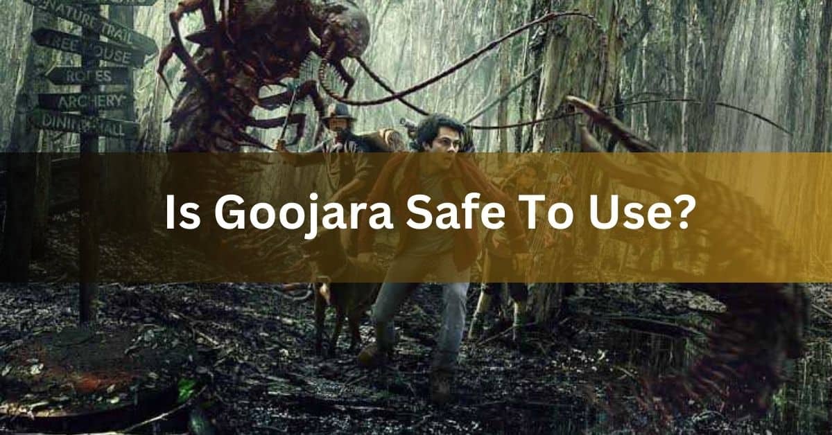 Is Goojara Safe To Use
