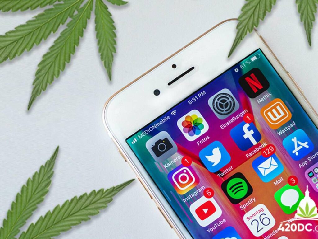 Factors Contributing to the Success of Cannabis Business Social Networks