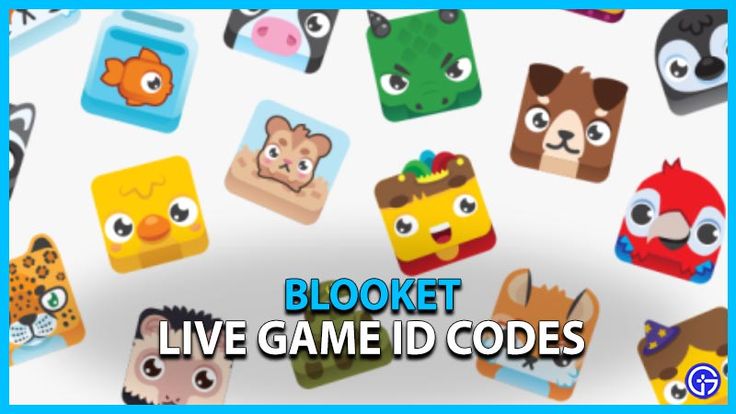 What Are Blooket Codes?