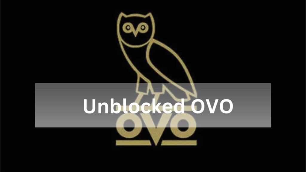What Are The Safety Concerns And Precautions Regarding Ovo Unblocked Game?